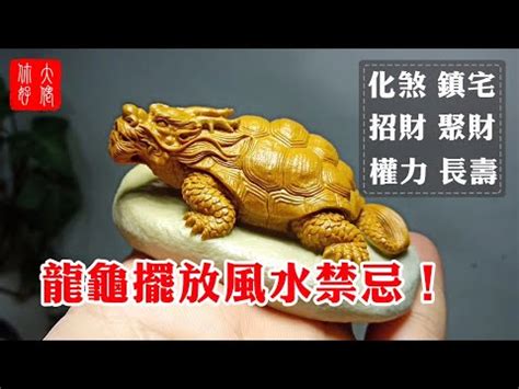 龍頭烏龜身|龍頭龜身：吉祥瑞獸